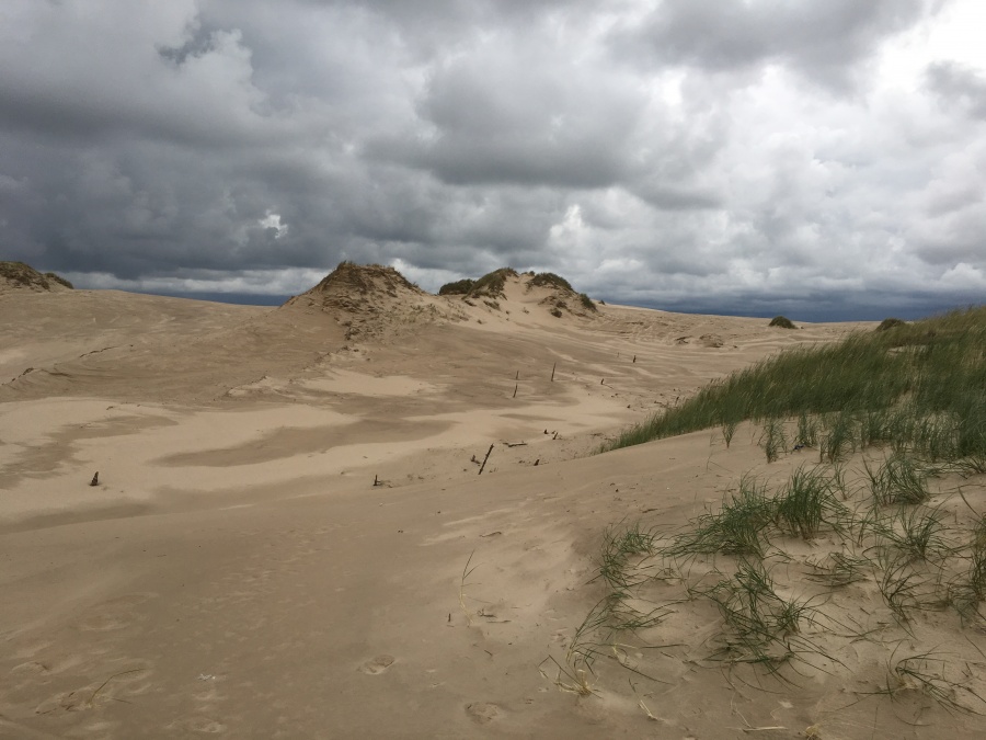 Wanderdüne