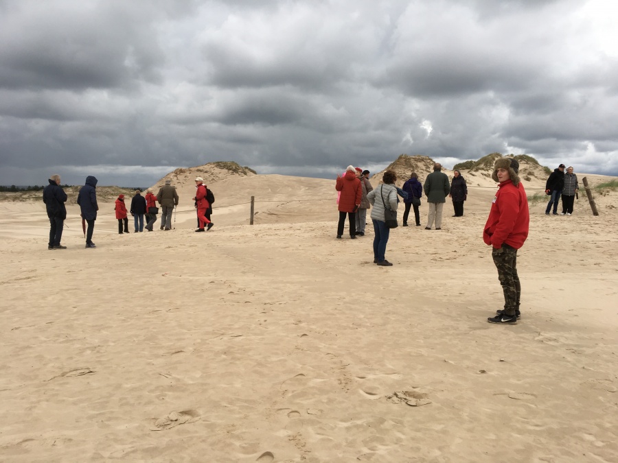 Grupe in Wanderdüne
