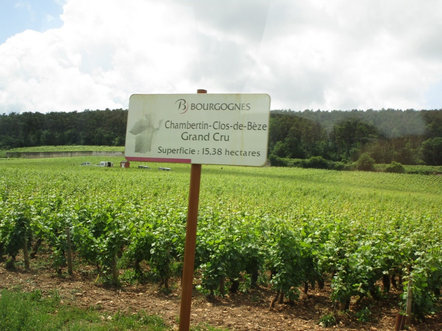 Die teuerste Lage in der Cote de Grand Cur