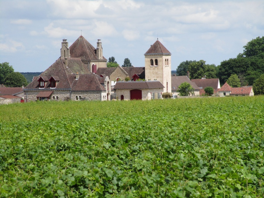 Weingut an der Cote de Grand cru