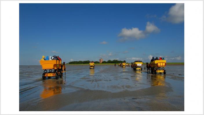 Nordsee-Insel-Neuwerk