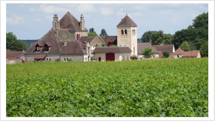 Weingut an der Cote de Grand_16-9